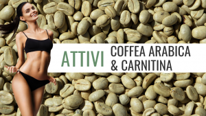 coffea arabica carnitina